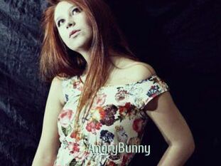 AngryBunny