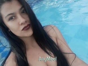 AnyMeel