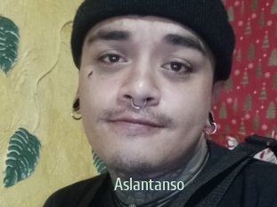 Aslantanso