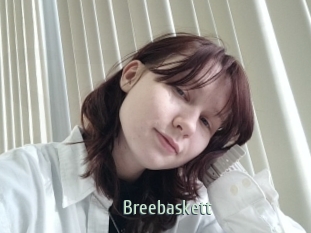 Breebaskett