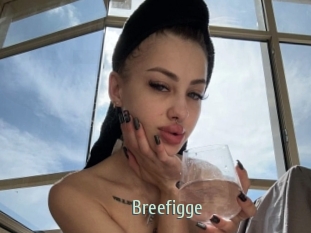 Breefigge