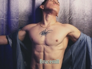 Brucemill