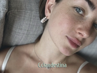 Cclandestina