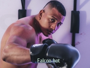 Falcon_hot