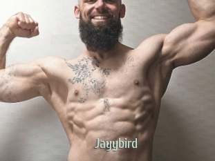 Jayybird