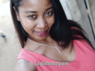 Laylahmorgane