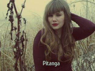 Pitanga