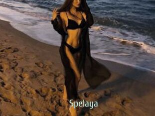 Spelaya