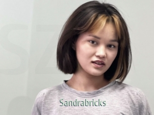 Sandrabricks