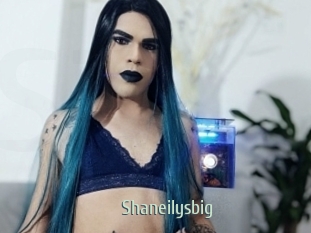 Shaneilysbig