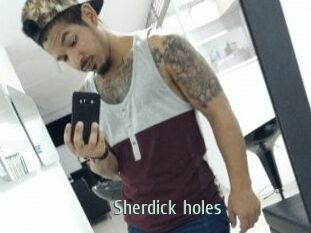 Sherdick_holes