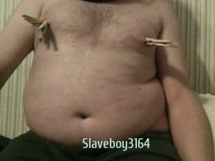 Slaveboy3164