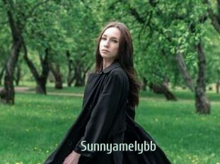 Sunnyamelybb