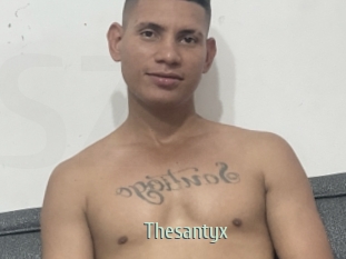 Thesantyx